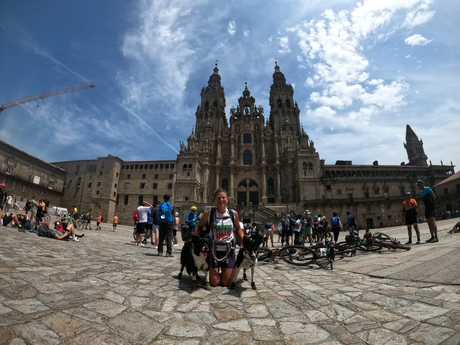 Davanti alla cattedrale di Santiago de Compostela, con i cani
